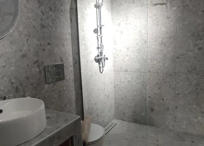 公寓 Nomad Chora (Samos)